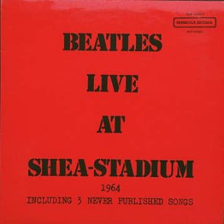Live At Shea Stadium - LP cover